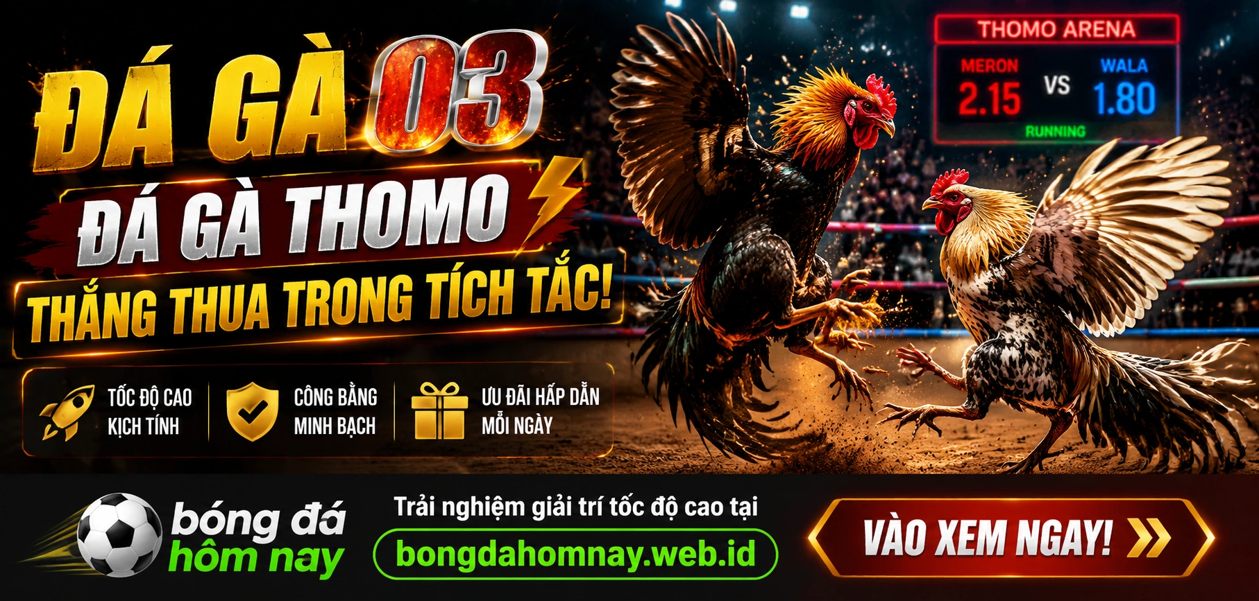 Xem đá gà online trên điện thoại với trải nghiệm mượt
